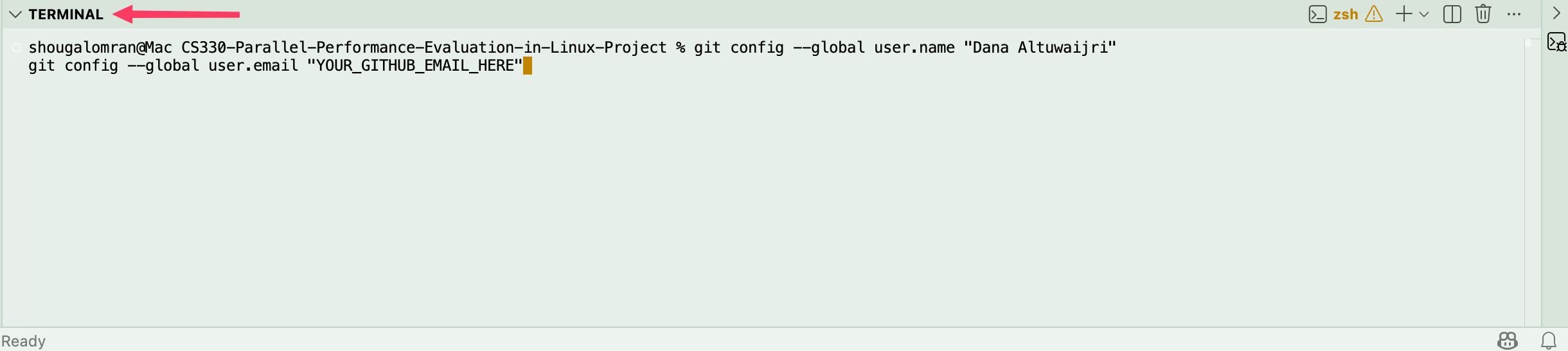 Step 5 - Terminal git config