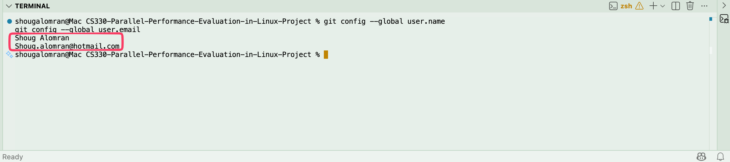 Step 6 - Verify git config
